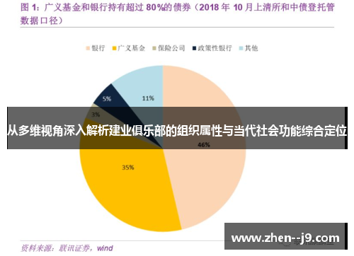 从多维视角深入解析建业俱乐部的组织属性与当代社会功能综合定位 从多维视角深入解析建业俱乐部的组织属性与当代社会功能综合定位