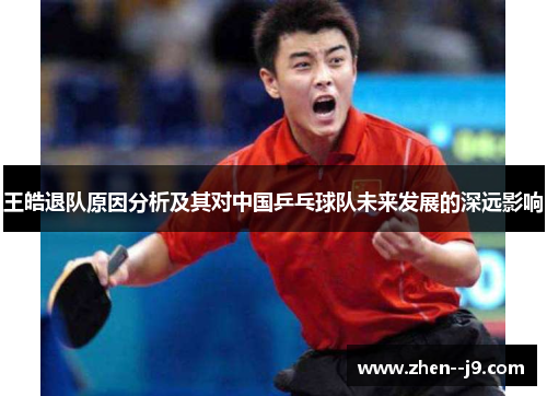 王皓退队原因分析及其对中国乒乓球队未来发展的深远影响