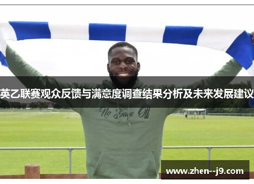 英乙联赛观众反馈与满意度调查结果分析及未来发展建议