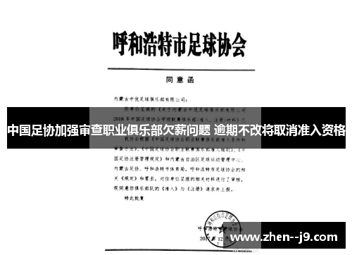 中国足协加强审查职业俱乐部欠薪问题 逾期不改将取消准入资格 中国足协加强审查职业俱乐部欠薪问题 逾期不改将取消准入资格